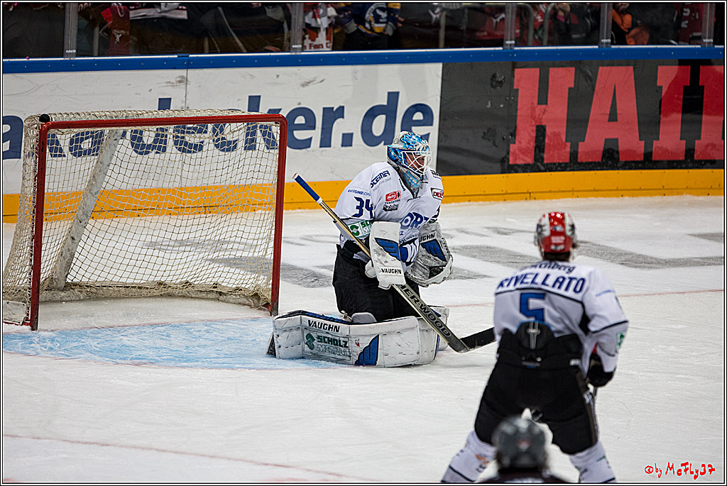 Koelner Haie - Schwenninger Wild Wings, 11.12.2016